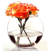 Ваза аквариум 180 мл Flora